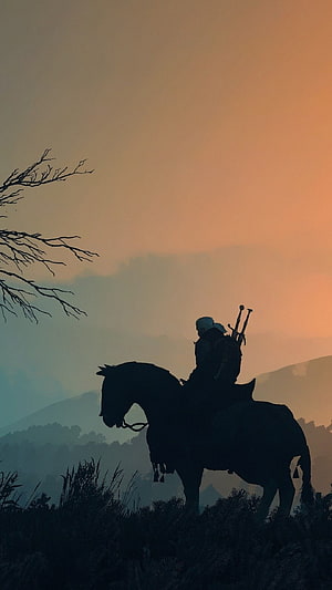 The Witcher Rider Silhouette on Horseback at Sunset with Misty Mountains HD phone wallpaper