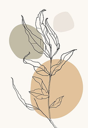 Minimalist Botanical Line Art with Abstract Earth Tone Circles HD phone wallpaper
