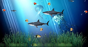 Vibrant Underwater Scene With Swimming Sharks, Jellyfish, and Tropical Fish HD wallpaper