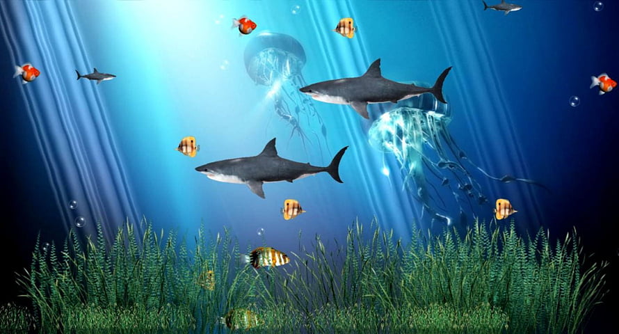 Vibrant Underwater Scene With Swimming Sharks, Jellyfish, and Tropical Fish HD wallpaper