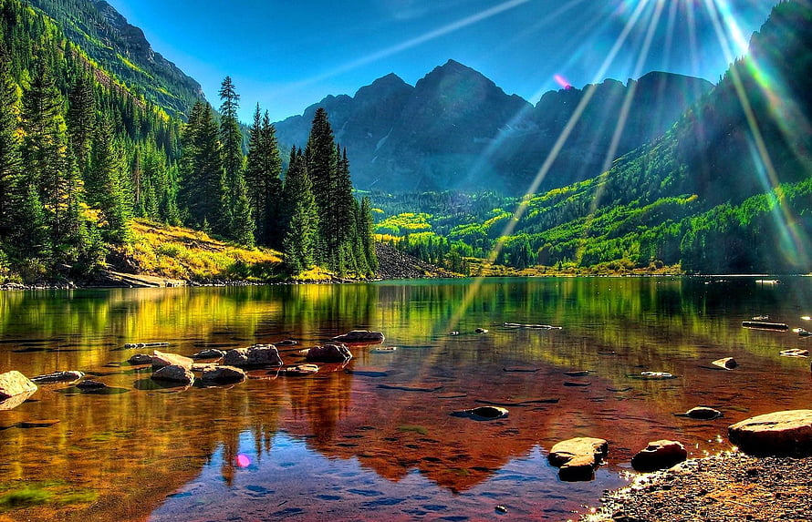 Sunlit Mountain Lake with Pine Forest and Rocky Shallows HD wallpaper