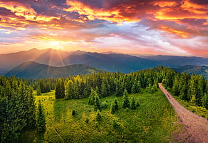 Aerial View of Mountain Valley at Sunset with Forest and Dirt Road HD wallpaper