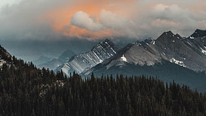 Dramatic Mountain Range with Snow-Capped Peaks and Dense Evergreen Forest at Sunset HD wallpaper
