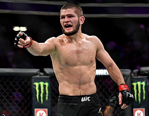 Khabib Nurmagomedov Celebrating Victory in the UFC Octagon HD wallpaper