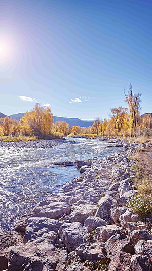 Autumn River Landscape with Golden Trees and Rocky Banks Under a Clear Blue Sky HD phone wallpaper
