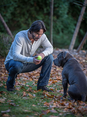 Keanu Reeves as John Wick Playing Fetch with a Dog in Autumn Leaves HD phone wallpaper