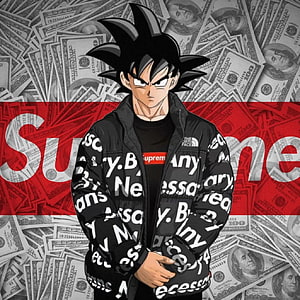 Goku in Supreme and The North Face Streetwear with Money Background HD phone wallpaper