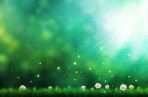 Spring Meadow with White Daisies and Glowing Fireflies Against a Soft Green Bokeh Background HD wallpaper