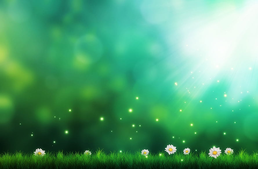 Spring Meadow with White Daisies and Glowing Fireflies Against a Soft Green Bokeh Background HD wallpaper