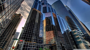 Downtown Chicago Skyscrapers and Glass Architecture at Dusk HD wallpaper