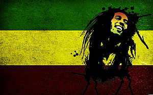 Rastafari silhouette with dreadlocks against a green yellow and red flag background HD wallpaper