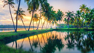 Kerala Backwaters at Sunset with Palm Tree Reflections in Calm Water HD wallpaper