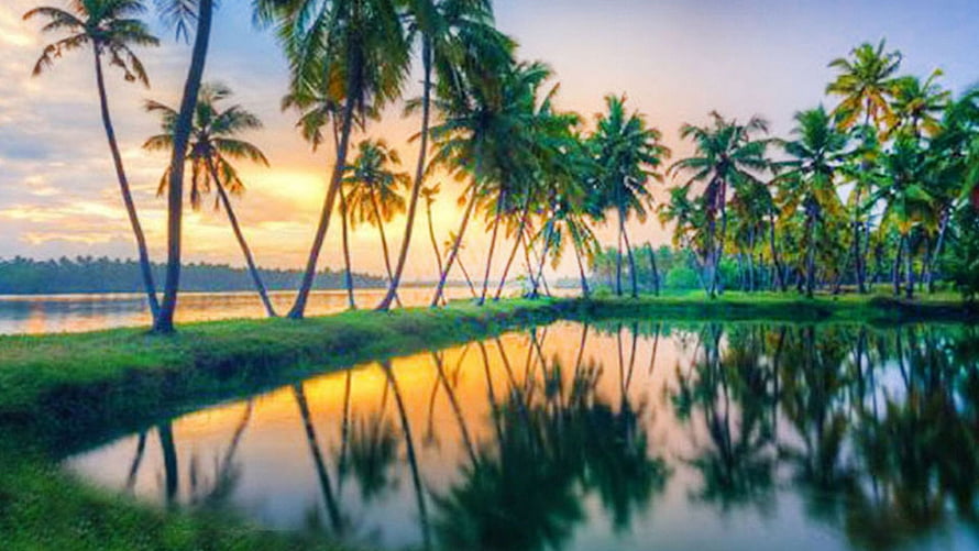 Kerala Backwaters at Sunset with Palm Tree Reflections in Calm Water HD wallpaper