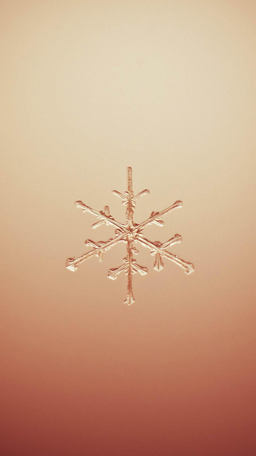 Minimalist Snowflake on Warm Gradient Background HD phone wallpaper