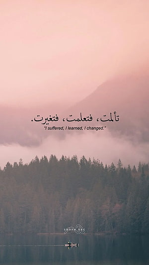 Serene Misty Lake and Pine Forest at Dawn with Inspirational Quote HD phone wallpaper