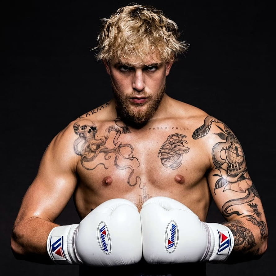 Jake Paul Boxing Portrait with White Winning Gloves and Chest Tattoos HD phone wallpaper