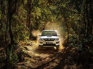 Mahindra Scorpio SUV Driving on a Dusty Forest Trail with Sunlight Beams HD wallpaper