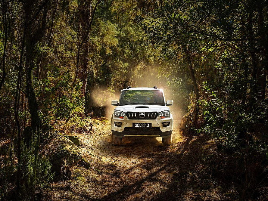 Mahindra Scorpio SUV Driving on a Dusty Forest Trail with Sunlight Beams HD wallpaper