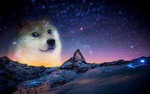 Doge Doge Meme Floating Above Snowy Mountain Peaks Under a Starry Night Sky HD wallpaper