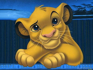 Simba the Lion King cub resting on a ledge at night with a starry sky and acacia trees in the background HD wallpaper