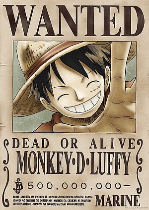 Monkey D. Luffy One Piece Wanted Poster with 500 Million Berry Bount HD phone wallpaper