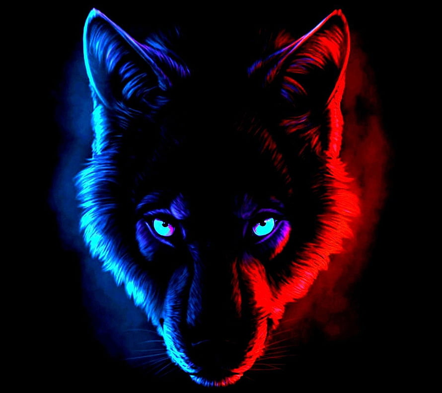 Neon Wolf Portrait with Cyan and Red Lighting on Black Background HD wallpaper