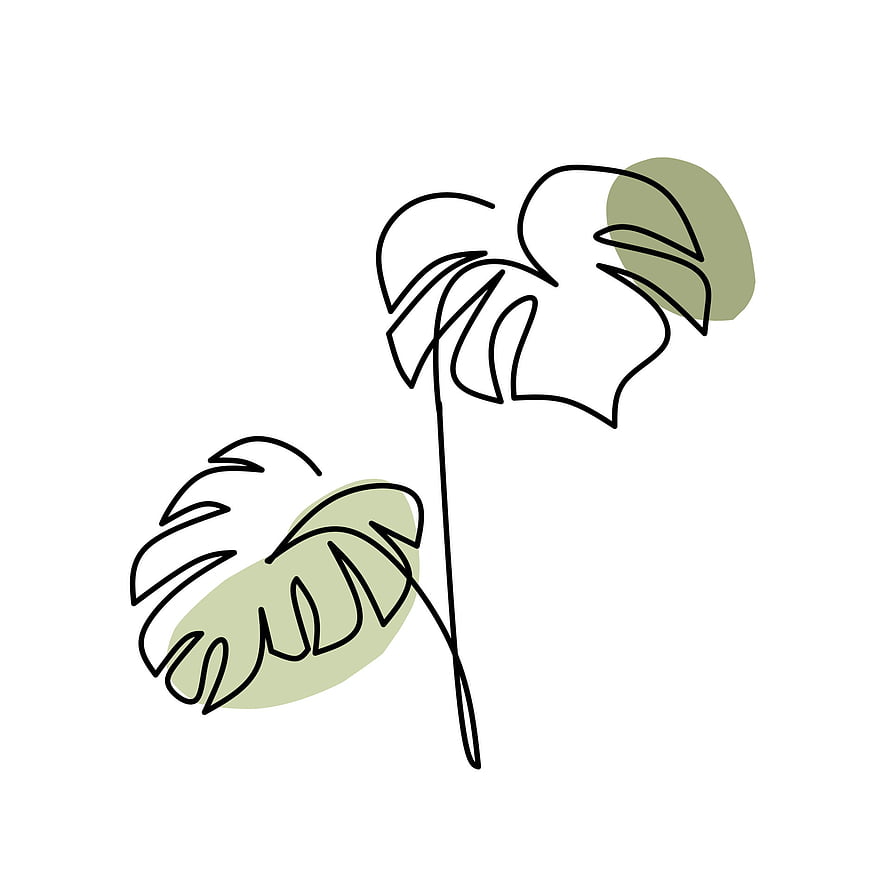 Minimalist Monstera Leaf Line Art with Soft Green Accents on White Background HD phone wallpaper