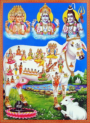 Kamadhenu White Cow with Hindu Deities and Mythological Figures HD phone wallpaper