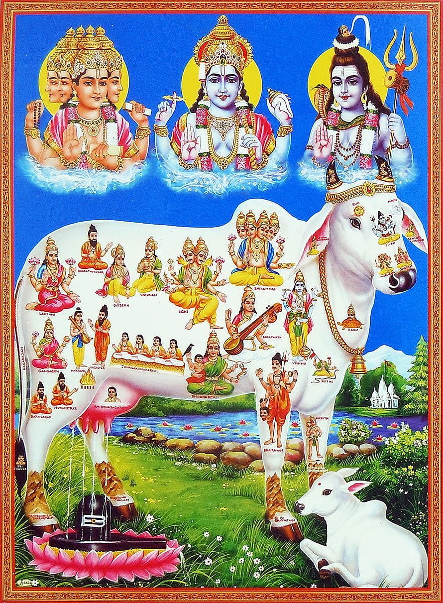 Kamadhenu White Cow with Hindu Deities and Mythological Figures HD phone wallpaper