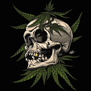 Cannabis Skull Illustration with Joint and Green Leaves on Black Background HD phone wallpaper