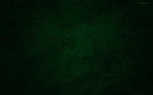 Dark Green Abstract Texture with Subtle Organic Patterns and Deep Tonal Depth HD wallpaper