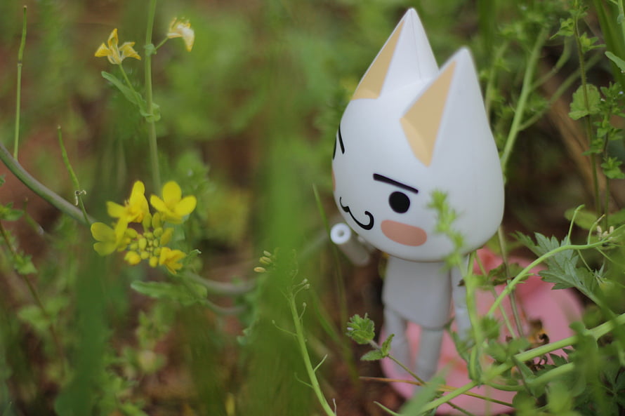 Cute White Cat Figurine in a Garden with Yellow Flowers and Green Foliage HD wallpaper