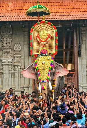 Uthara Elephant at Thrissur Pooram Festival with Ornate Gold Decorations and Temple Crowd HD phone wallpaper