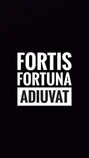 Fortis Fortuna Adiuvat Latin Proverb Minimalist Typography on Black Background HD phone wallpaper