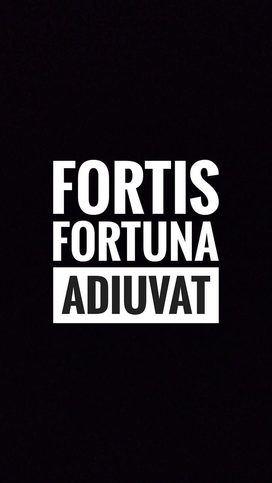 Fortis Fortuna Adiuvat Latin Proverb Minimalist Typography on Black Background HD phone wallpaper