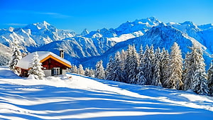 Alpine Chalet in Snowy Swiss Mountains with Evergreen Forest and Clear Blue Sky HD wallpaper