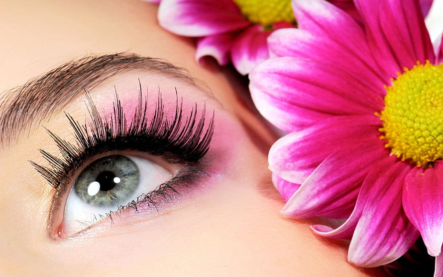 Close-Up of a Green Eye with Dramatic Lashes and Pink Daisies HD wallpaper