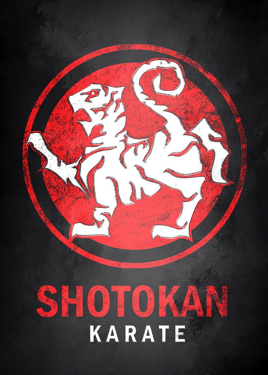 Shotokan Karate Emblem with Stylized Dragon on Dark Textured Background HD phone wallpaper