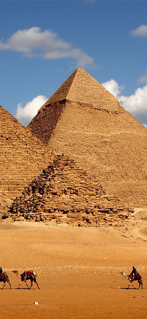 Great Pyramid of Giza with camels crossing the desert sands under a bright blue sky HD phone wallpaper