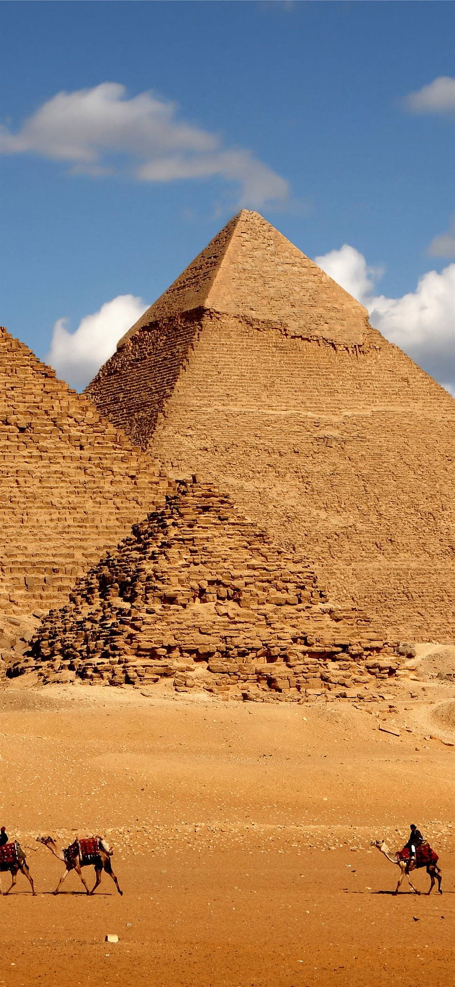 Great Pyramid of Giza with camels crossing the desert sands under a bright blue sky HD phone wallpaper