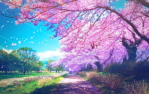 Vibrant Sakura Tree Tunnel Lining a Park Pathway Under a Bright Blue Sky HD wallpaper