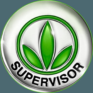 Herbalife Supervisor Pin Badge with Green Leaf Emblem and Metallic Silver Finish HD phone wallpaper