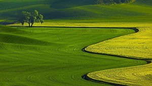 Rolling Green Pastures and Winding Stream in a Serene Agricultural Landscape HD wallpaper