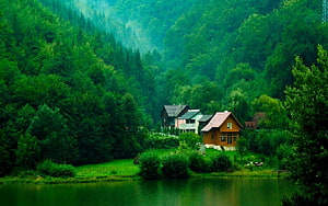 Serene Lakeside Cottages Nestled in Lush Forested Valley HD wallpaper