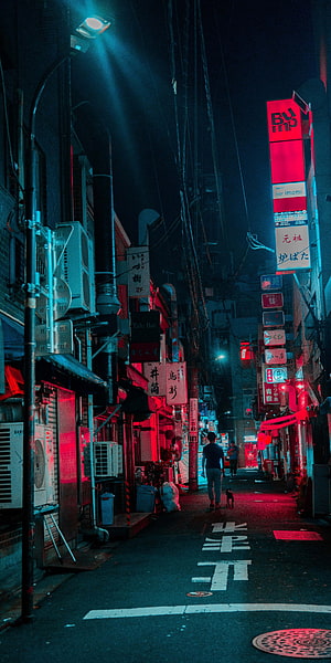 Neon-lit Tokyo alleyway at night with glowing signs and a lone pedestrian walking a small dog HD phone wallpaper