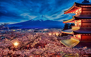 Mount Fuji and Chureito Pagoda at Night with Cherry Blossoms in Japan HD wallpaper