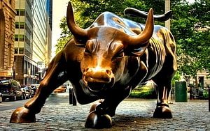 Charging Bronze Bull Statue on Cobblestone Street in Financial District HD wallpaper