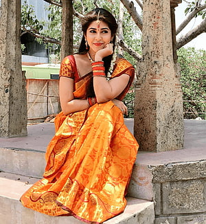 Sonarika Bhadoria in Traditional Orange Silk Saree with Gold Zari Border HD phone wallpaper
