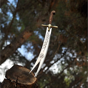 Zulfikar Sword with Engraved Blade and Wooden Handle on Tree Stump HD phone wallpaper