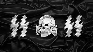 Black satin flag with silver skull and double lightning bolt emblem HD wallpaper